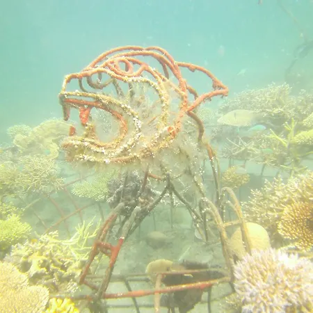 Biorock Homestay & Dive Center Pemuteran Exterior photo