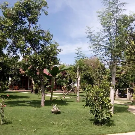 Biorock Homestay & Dive Center Pemuteran Exterior photo