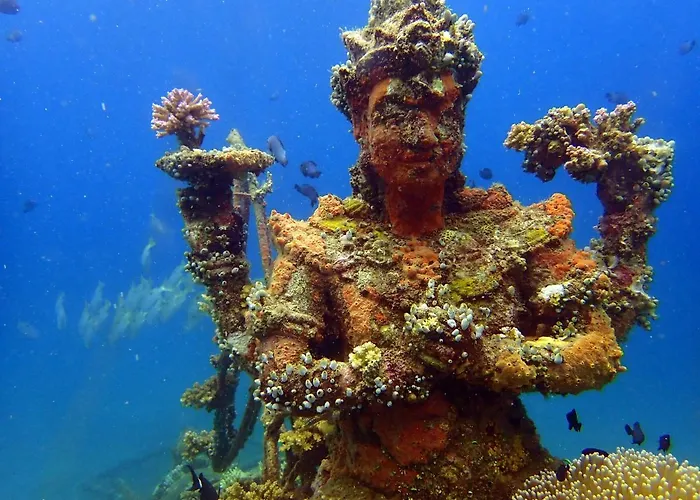 Biorock Homestay & Dive Center Pemuteran