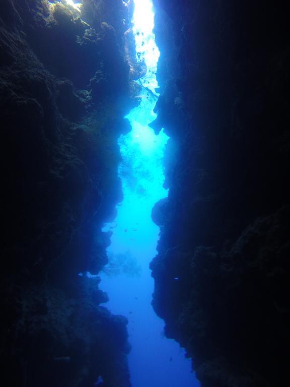 Séjour chez l'habitant Biorock & Dive Center Pemuteran