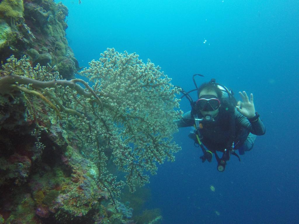Biorock & Dive Center Pemuteran
