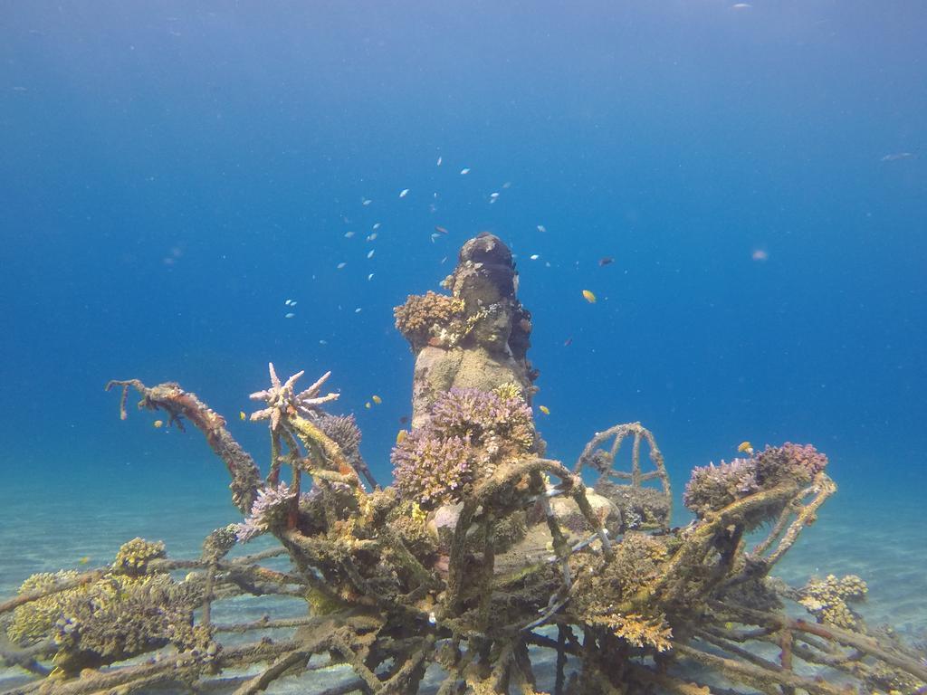 Biorock & Dive Center Pemuteran